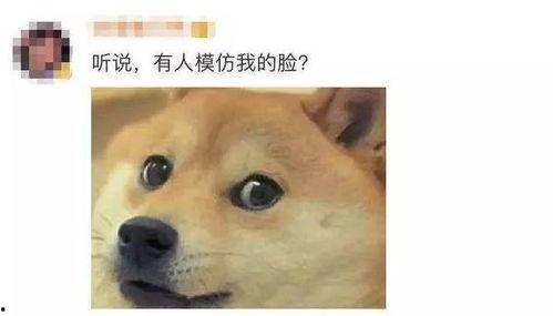 微信表情里的吃瓜表情是什么意思,网络社交中的趣味解读