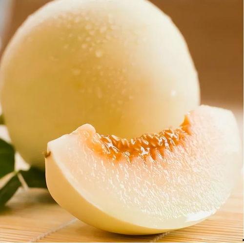 今日份吃瓜准备中,新鲜热辣吃瓜指南