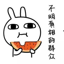 吃瓜娱乐简介句子,吃瓜群众眼中的明星幕后故事